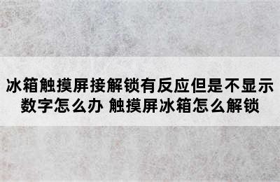 冰箱触摸屏接解锁有反应但是不显示数字怎么办 触摸屏冰箱怎么解锁